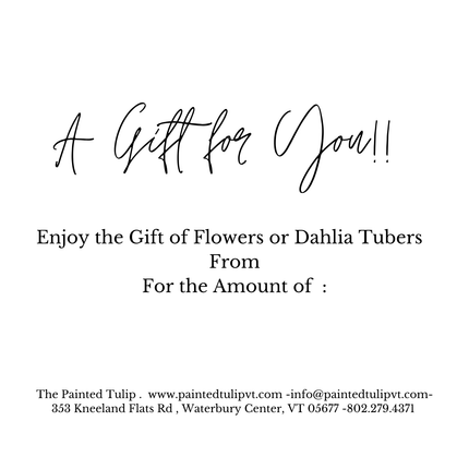 The Painted Tulip Gift Card