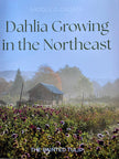 Dahlia Growing in the Northeast
