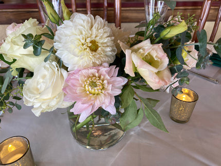 Silver Years Dahlia Tuber